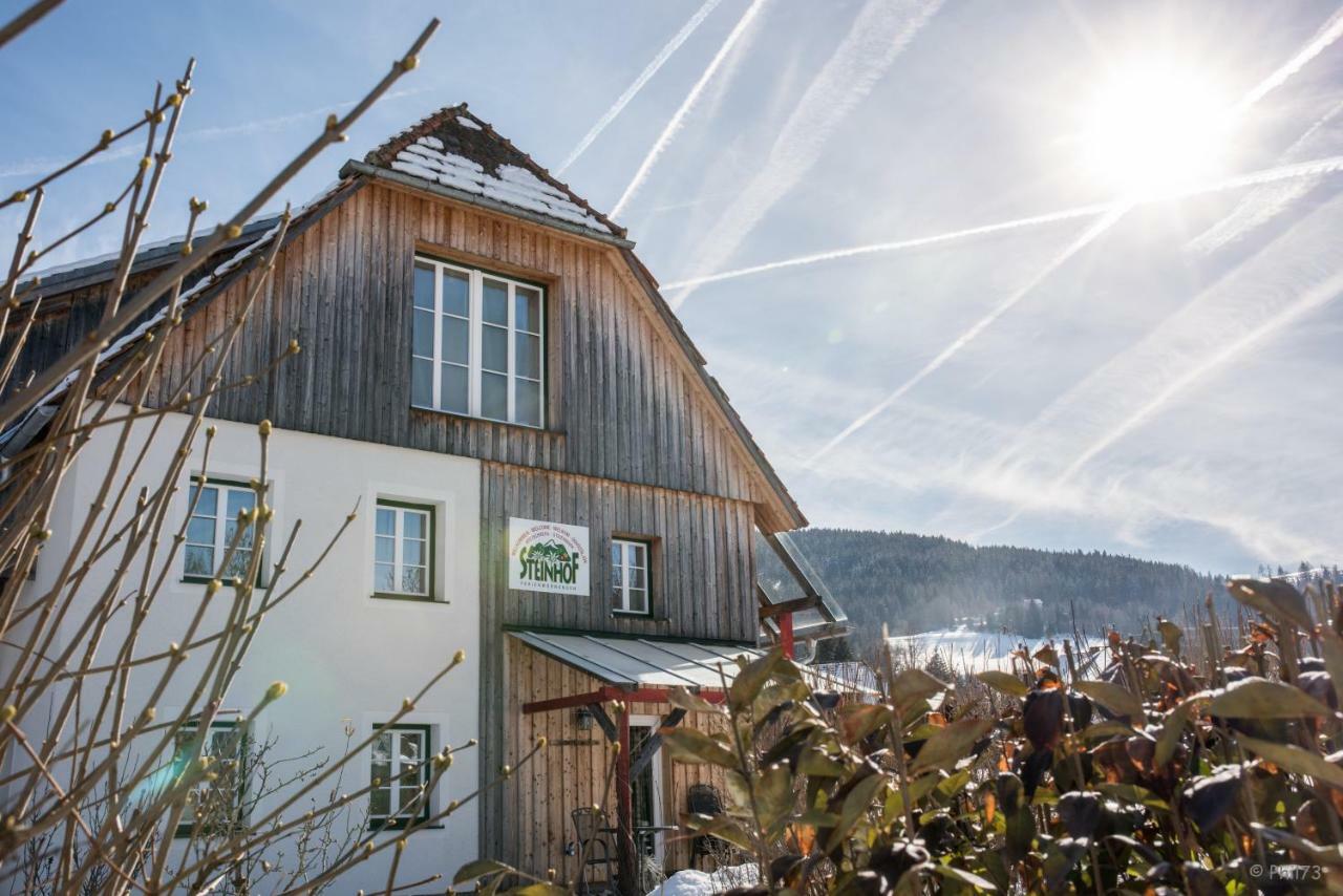Вилла Haus Steinhof Санкт-Лоренцен-об-Мурау Экстерьер фото