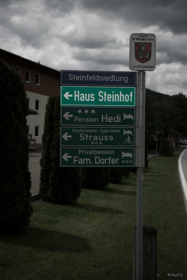 Вилла Haus Steinhof Санкт-Лоренцен-об-Мурау Экстерьер фото