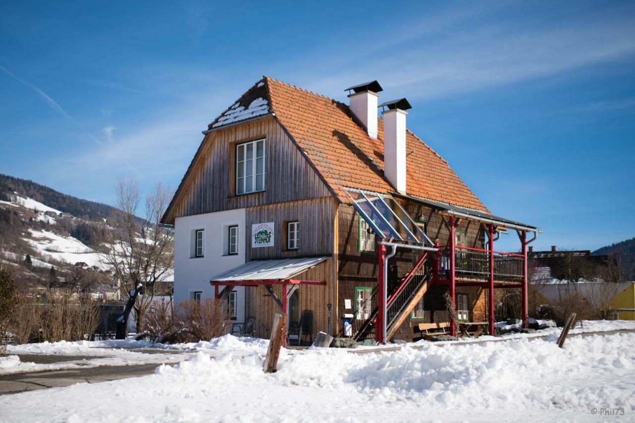 Вилла Haus Steinhof Санкт-Лоренцен-об-Мурау Экстерьер фото